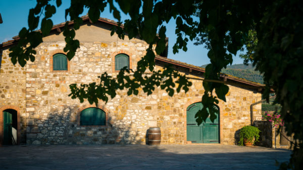 Viticcio winery